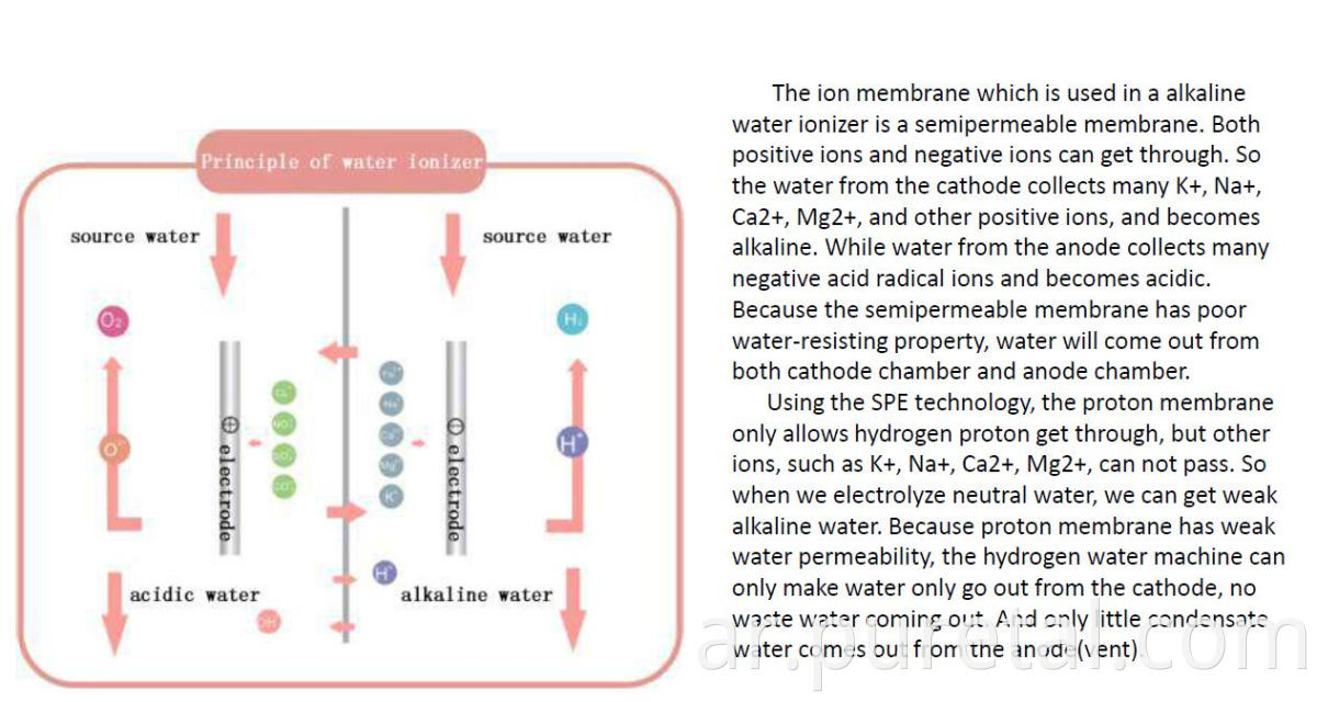 ماكين آلة المياه القلوية ماء الأيونات المنقى اليابان